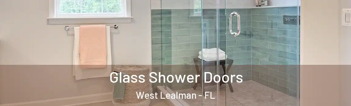 Glass Shower Doors West Lealman - FL