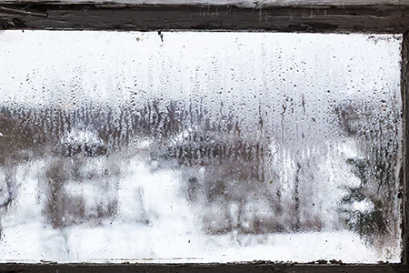 Defogging Double Pane Windows in West Lealman, FL