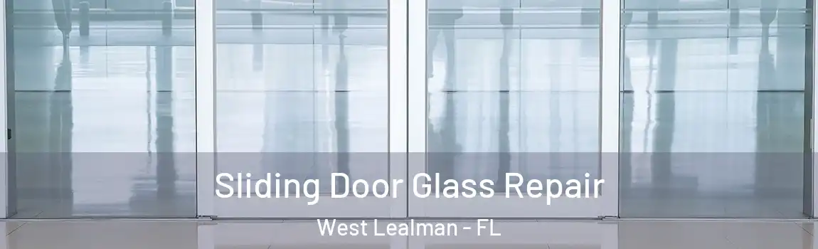 Sliding Door Glass Repair West Lealman - FL