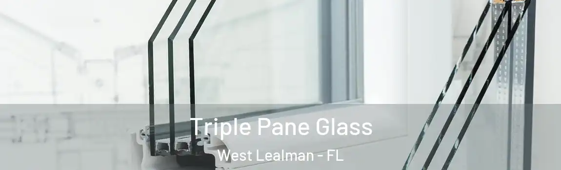  Triple Pane Glass West Lealman - FL
