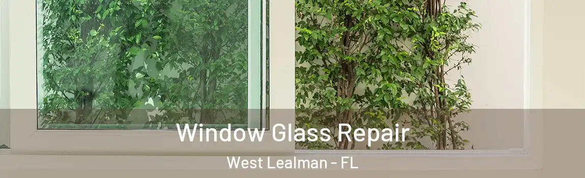 Window Glass Repair West Lealman - FL