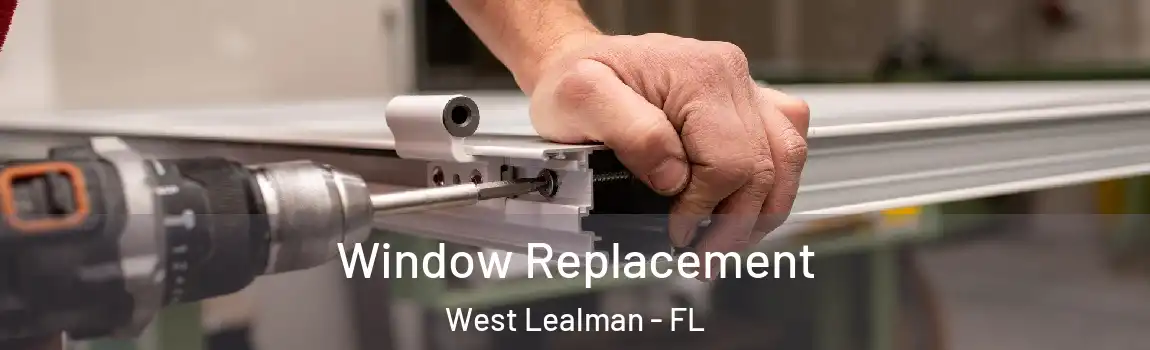  Window Replacement West Lealman - FL